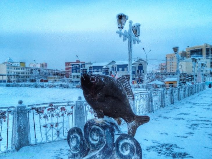путесхевие-в-иакутииу-06