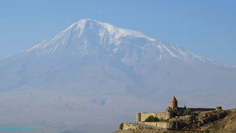 Арарат