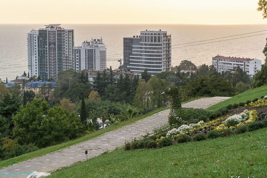 Соцхи Арборетум, на самом врху