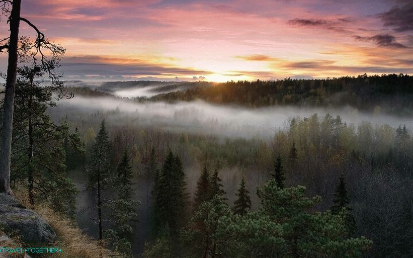 Магла у шумама Финске