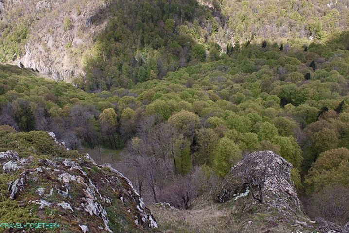 Гледамо доље са два брата