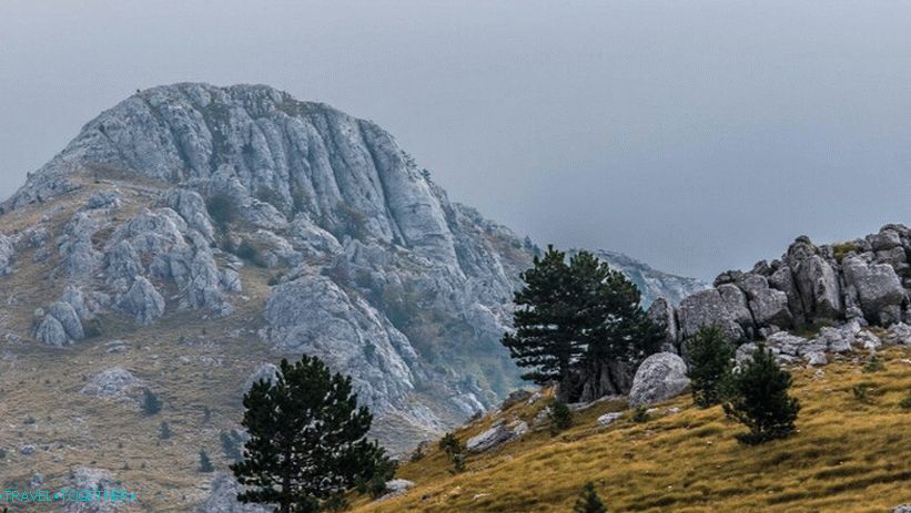 Динарско горје
