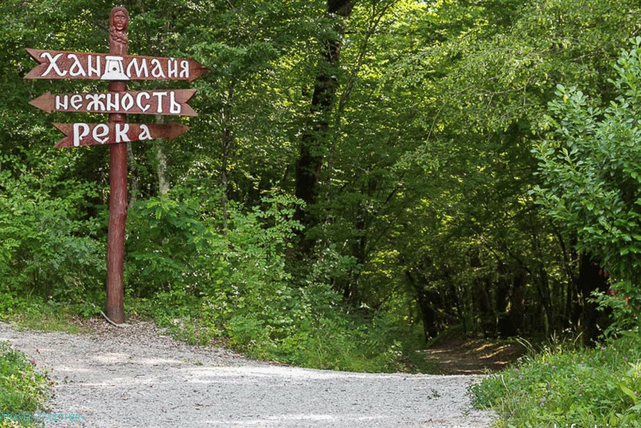 Показатељи у Долменовој економији