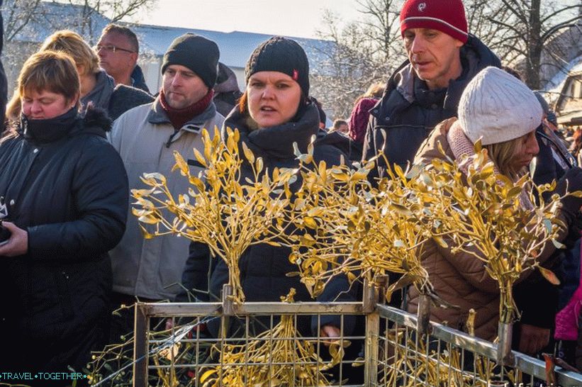 Посебно осликане гране за Божић