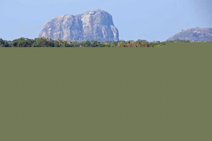 Шри Ланка, уроните у дивљину у Национални парк Цумана
