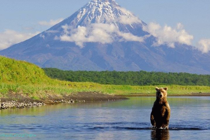 Камчатка, уроните у свет дивљачи