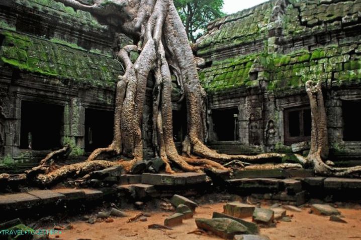 Камбоџа, Та Пром - древни храм, где су снимили филм о Лари Црофт
