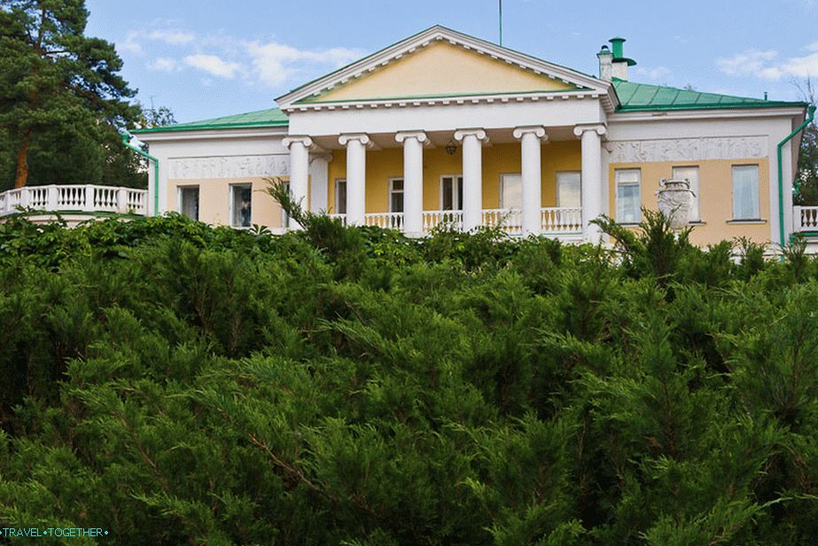 Поглед на главну кућу због грмља смреке