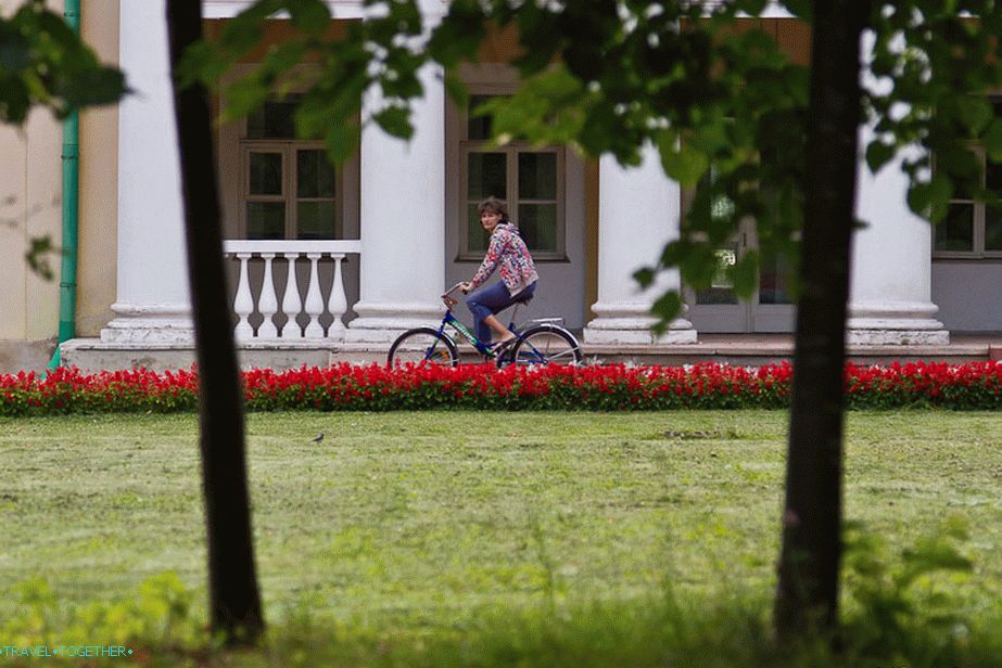 Многи возе бицикле