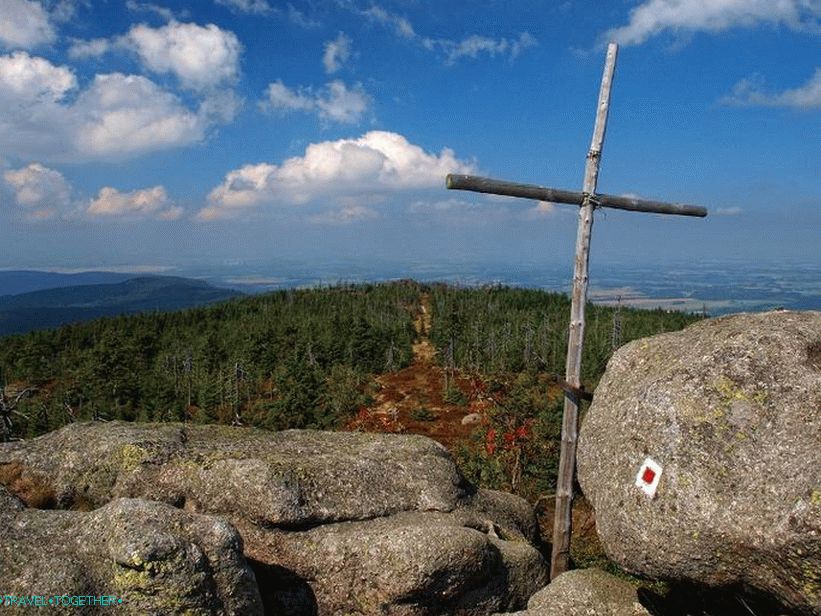 Роцкс Бастард 