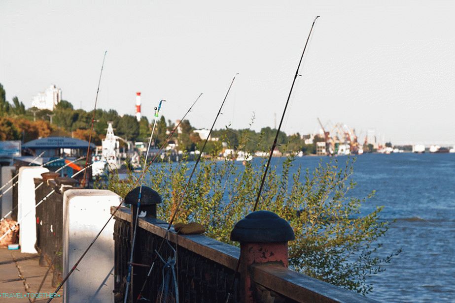Чак и жене пецају у Ростову