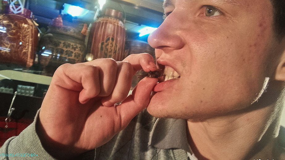 Андреј показује како воли скакавце