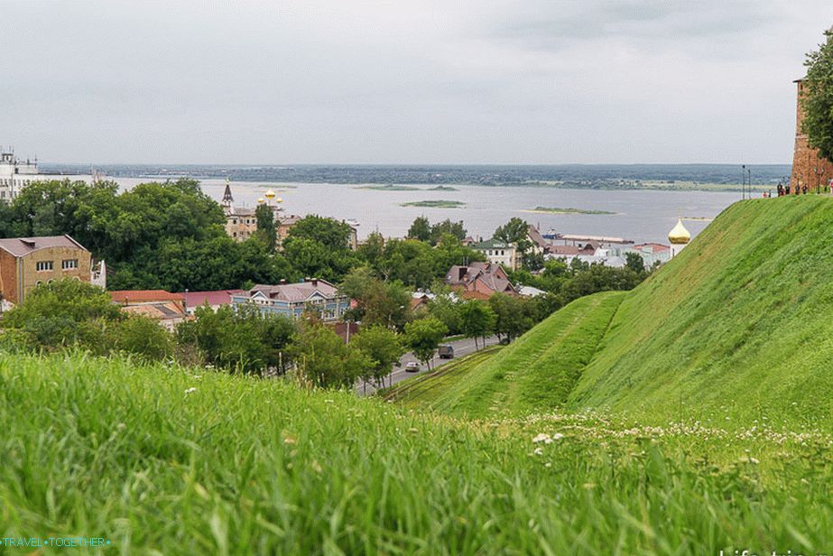 Зеленски Цонгресс