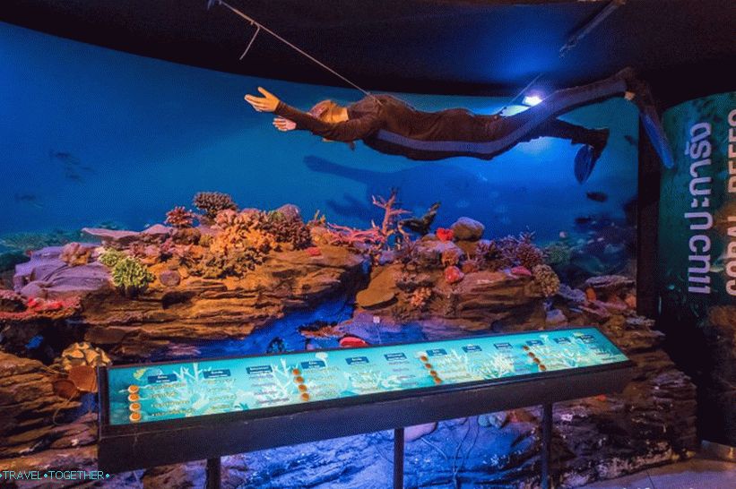 Оцеан Пхукет - што је прилично досадан акваријум