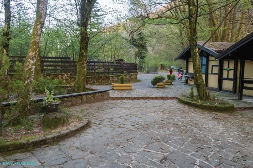Ореховски водопад у Сочију - пикник у природи