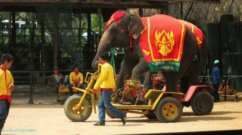 Слонов схов у Нонг Нооцх Парку