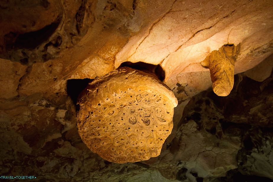 Сталактитна оса - најстарије у пећини