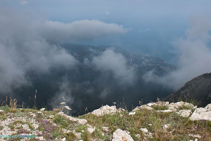 Иалта зрачни поглед.