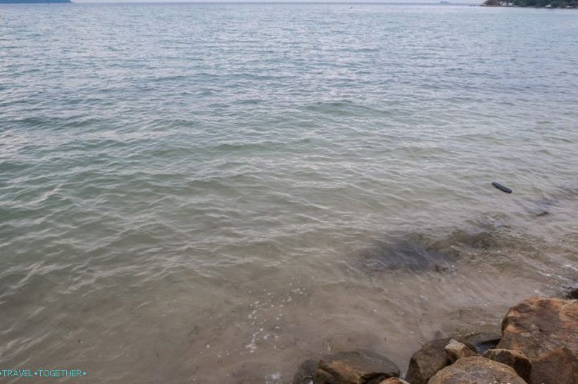 Водитсиа, благо речено, блатна.