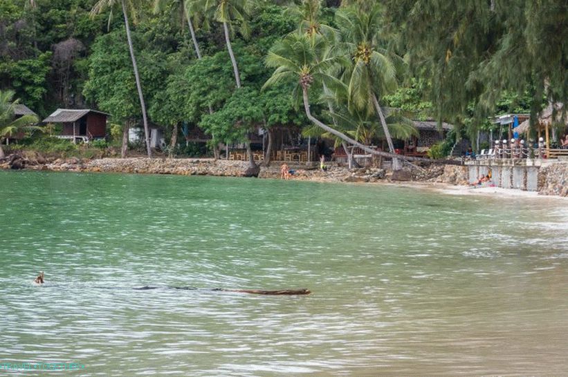 Обала је близу воде и током олујне сезоне куце пате овде
