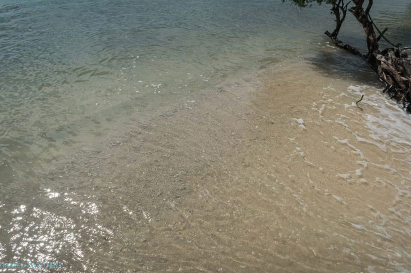 Ако погледате директно, можете видети велике фрагменте кораља испод воде.
