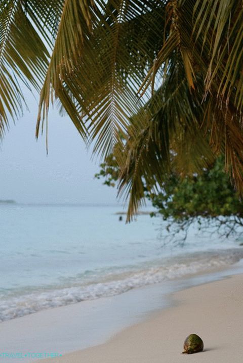 Плажа. Малдиви.