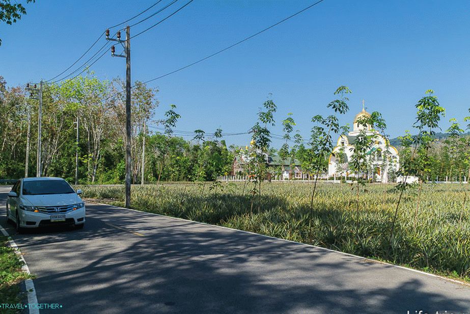 Мој ауто Хонда Цити и православна црква на позадини палми