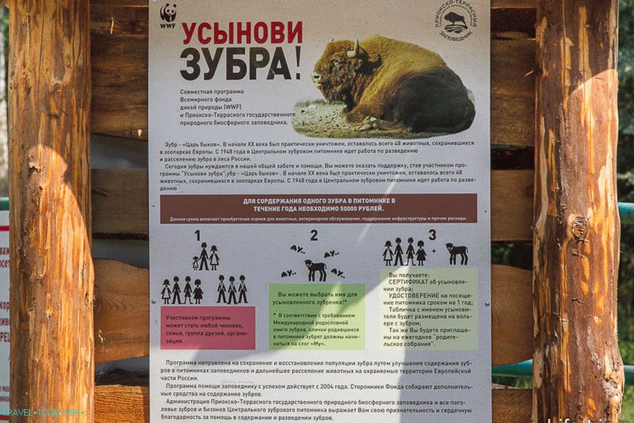 Свако може да садржи бисон - 50 хиљада годишње