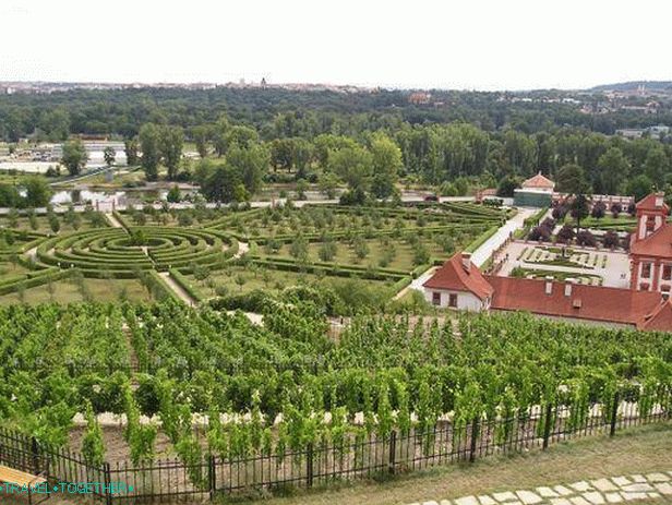 Виногради дворца Трои
