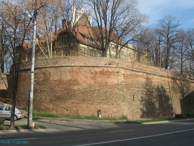 Бастион Халер