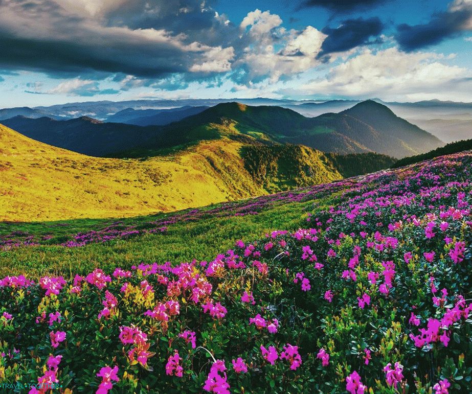 Словеначки простори