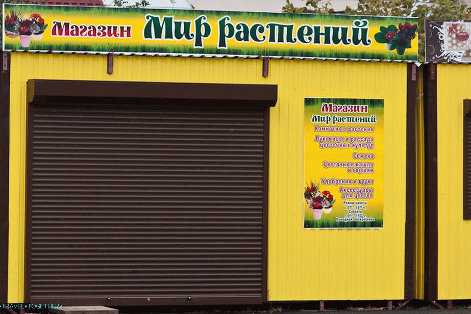 Други свет биљака