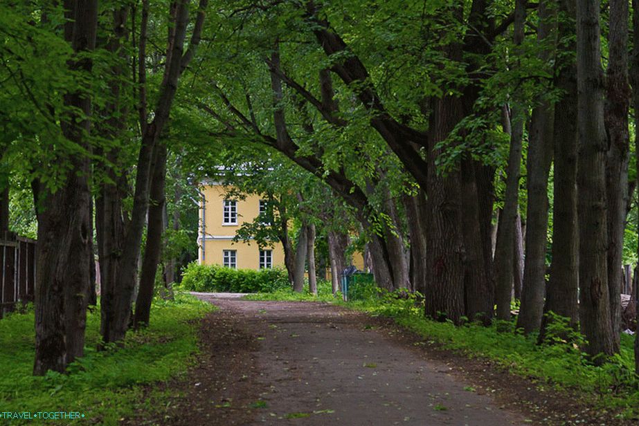 Уличица Линден у имању Сукханово