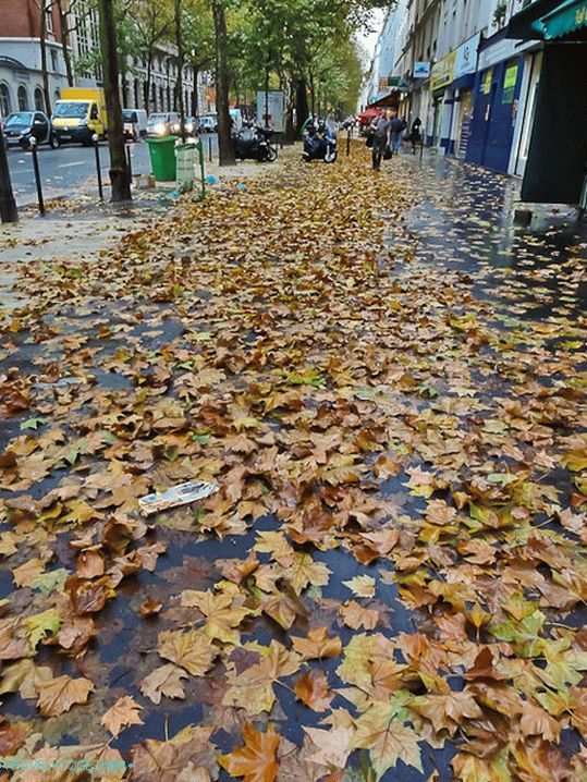 Паришке улице су поплављене лишћем