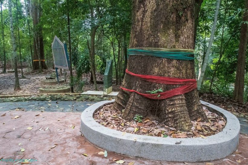 Дрво духова, без њега ни на који начин