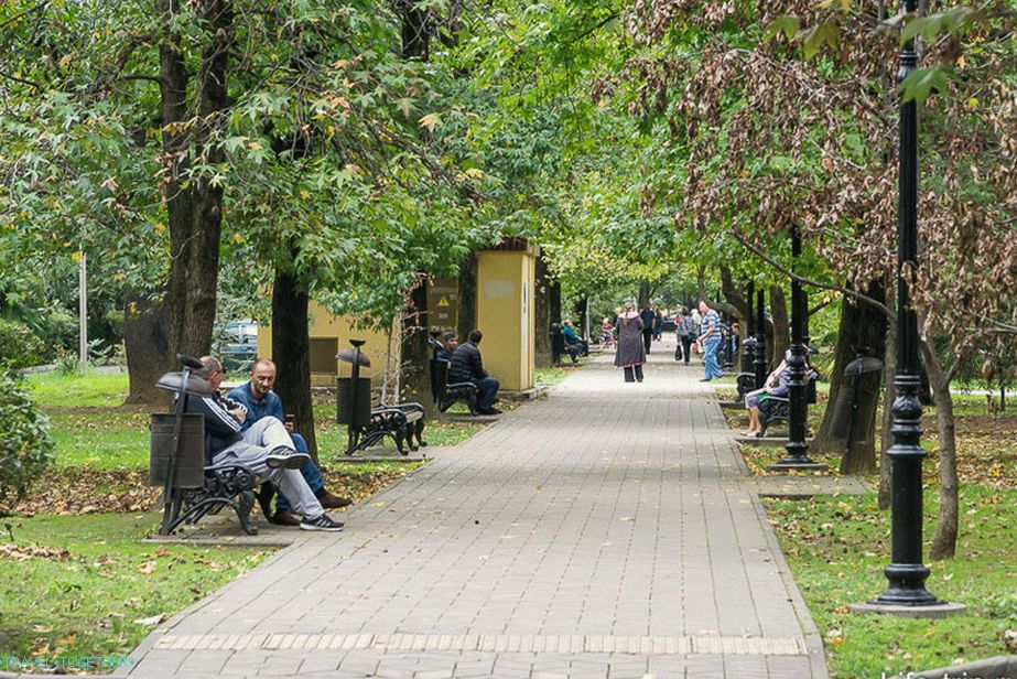 Тсветнои Боулевард ин Зарецхни Дистрицт