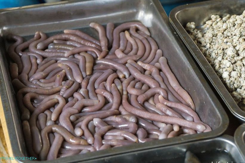 Кинески грицкалице, ммм ...